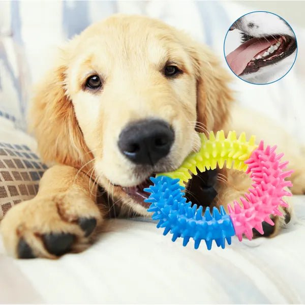 nobleza - 10-teiliges Hundespielzeug-Set