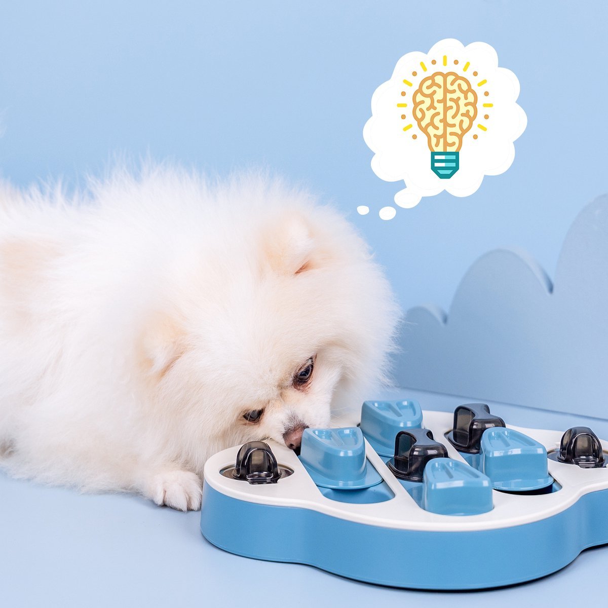 nobleza Intelligenzspielzeug für Hunde & Katzen Rutschfestes Puzzle Spielzeug