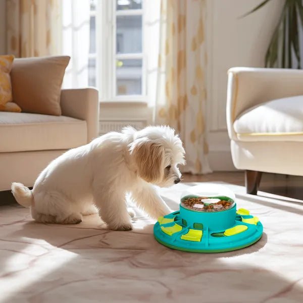 nobleza - Intelligenzspielzeug für Hunde und Katzen
