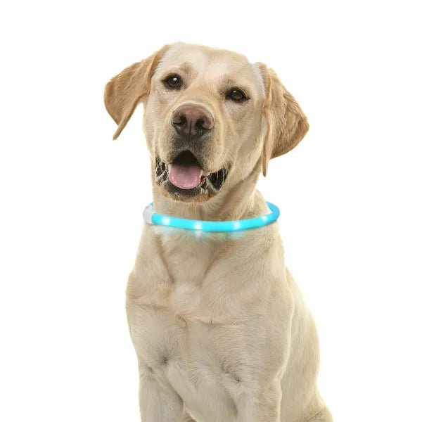 nobleza - Halsband LED Verstellbar - Silikon