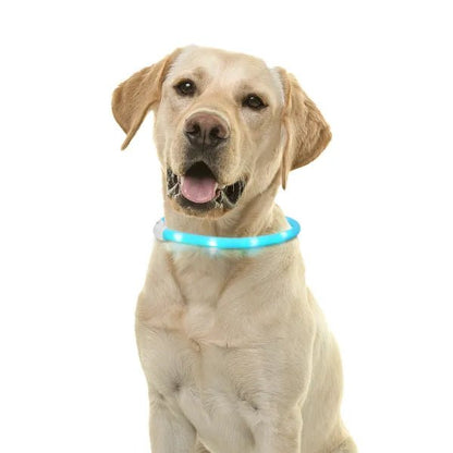 nobleza - Halsband LED Verstellbar - Silikon