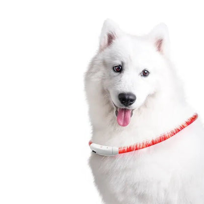 nobleza - Halsband LED Verstellbar