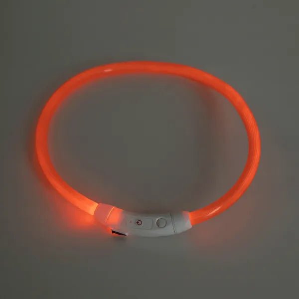 nobleza - Halsband LED Verstellbar