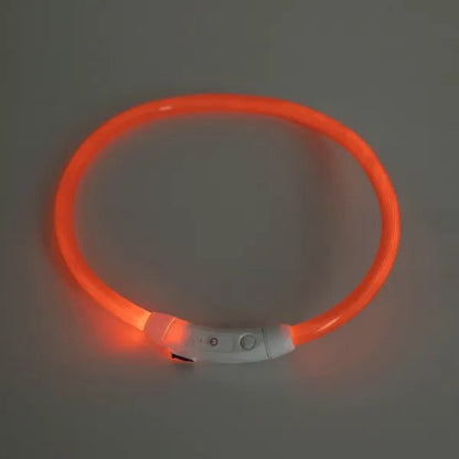 nobleza - Halsband LED Verstellbar