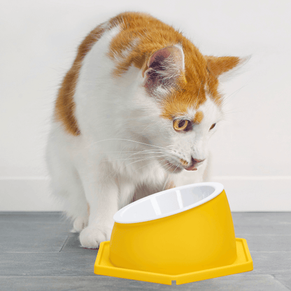 nobleza - Gesundheits-Futternapf für Katzen - Abnehmbar & Waschbar