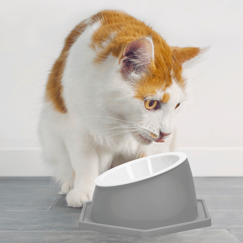 nobleza - Gesundheits-Futternapf für Katzen - Abnehmbar & Waschbar