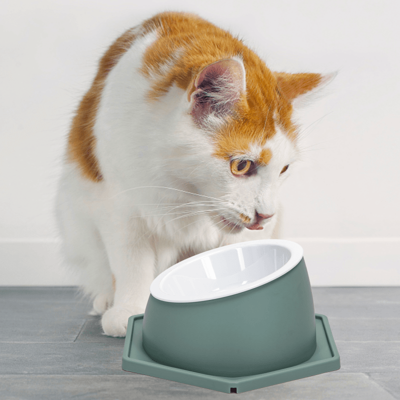 nobleza - Gesundheits-Futternapf für Katzen - Abnehmbar & Waschbar