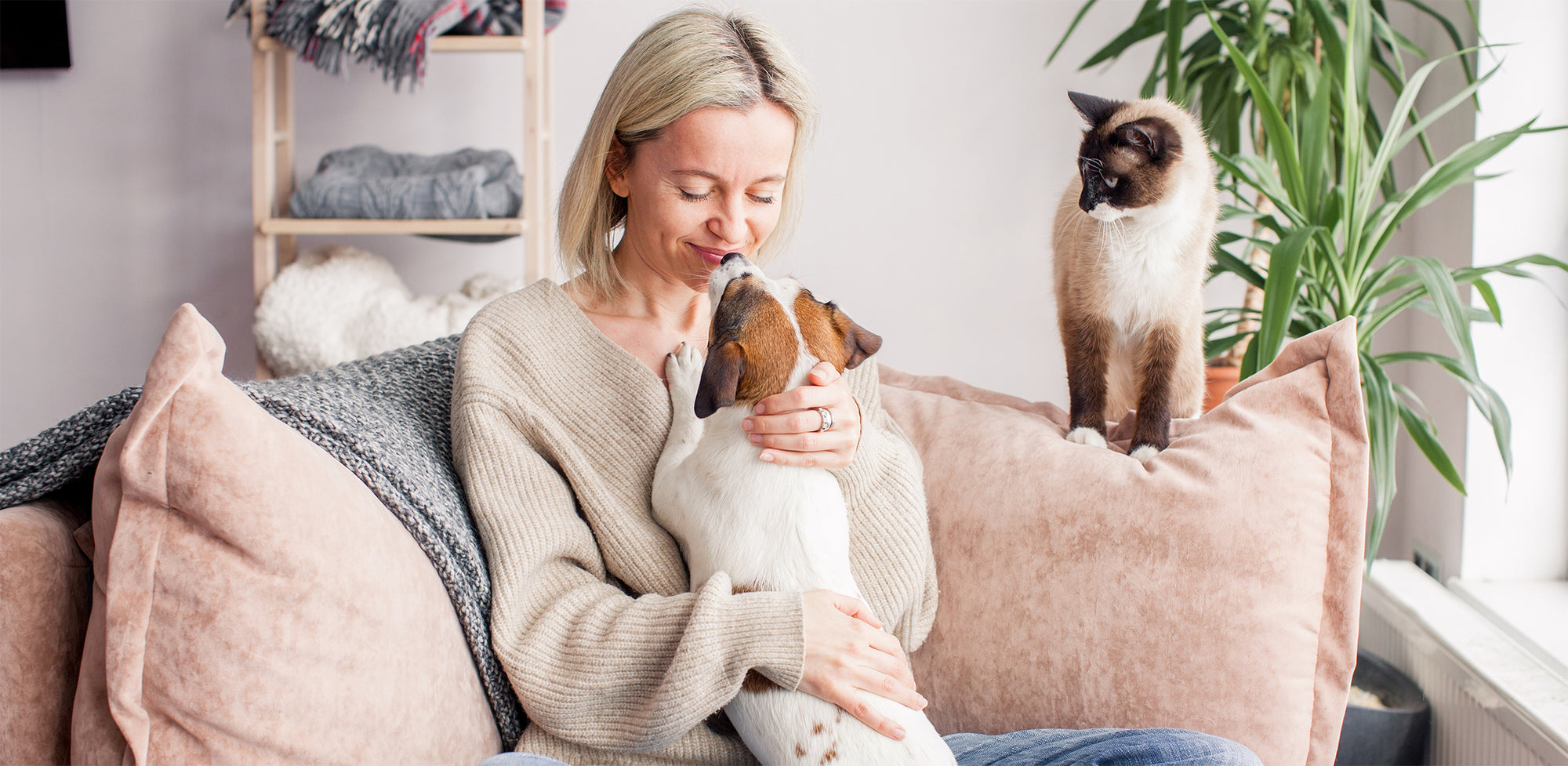 Alles für deinen tierischen Liebling